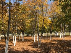 -长春世界雕塑园冰雪艺术天地