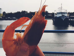 -悉尼鱼市场