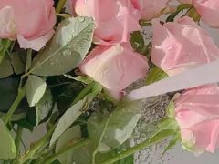 -绿岛汤泉韩式休闲会所