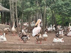 -西安秦岭野生动物园