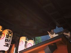 -Hōzen-ji Temple法善寺