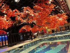 -寻梦盛唐主题水会(龙岗店)