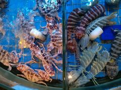 -金苑海鲜酒家(来魅力店)