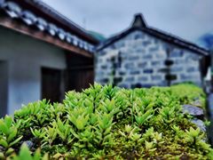 -鹿亭中村