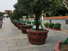 -广州莲花山旅游区