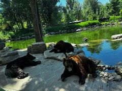 -北京野生动物园