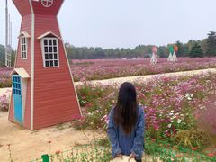 -日照灯塔风景区