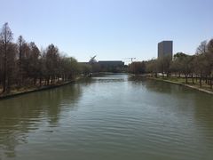 -南汇新城城市公园
