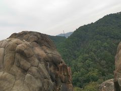 -南山植物园