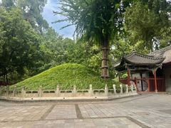 -武侯墓风景区