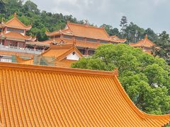 -深圳仙湖植物园