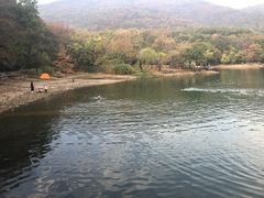 -紫霞湖公园