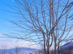 -硗碛藏寨·神木垒景区