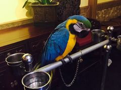 那家小馆(中关村店)-那家小馆•北京菜•烤鸭(中关村店)