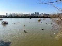 -艾溪湖湿地公园