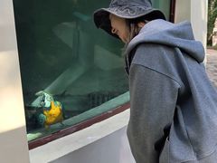 -青藏高原野生动物园