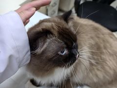 -美美宠物诊疗中心·异宠·骨科(滨江东信分院)