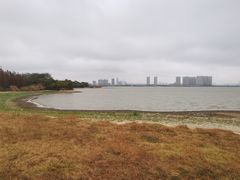 -瑶湖郊野森林公园