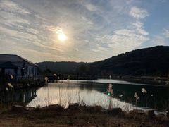 -龙寺生态园