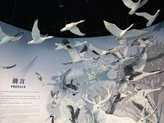 -中国湿地博物馆