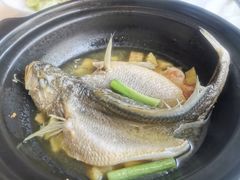 清煮黄花鱼-悦景酒家(罗湖店)