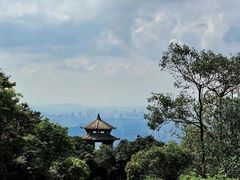 -梧桐山风景名胜区