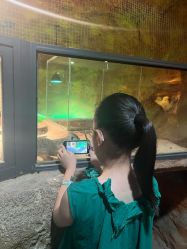 -酷嗒动物文化乐园(cutezoo西溪乐天城店)