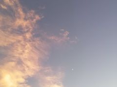 -东河市场
