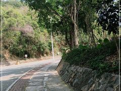 -梧桐山风景名胜区