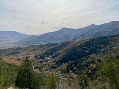 -北京鹫峰国家森林公园