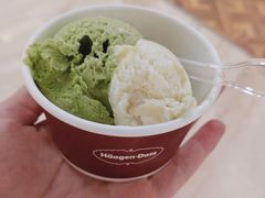 哈根达斯-阳光岛·海鲜盛宴(银泰中心in99店)