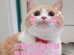 -贝儿多爸爸泡芙(合生汇店)