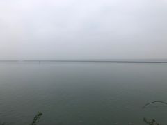 -贡湖湾湿地公园