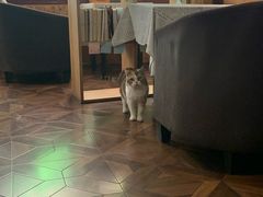 -隅cafe(傅厚岗店)