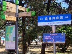 -渡海小渔村.老辈日照菜