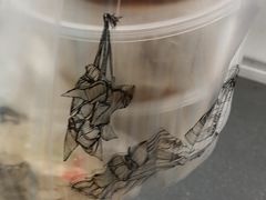 -东园小馆(苏州中心店)