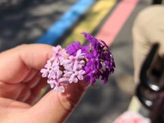 -南京金牛湖风景区