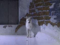 -大连圣亚海洋世界