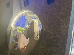 -一淼牛蛙爱上鱼(黄兴广场步行街店)