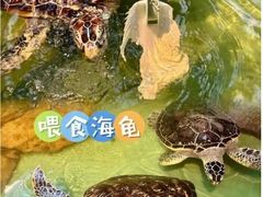 -重庆欢乐海底世界