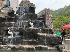 -大岭沟猕猴桃谷风景区