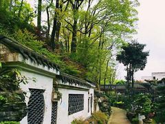 -南山植物园