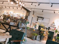 -之悦咖啡馆(新星宇·之洲店)