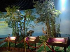 -中国闽台缘博物馆