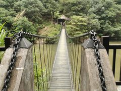 -九鲤湖风景区