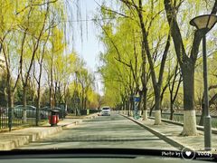 -南长河公园
