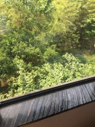 -金芙美月子中心(财富别墅店)