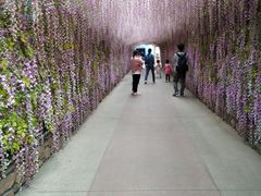 -泉城欧乐堡海洋极地世界