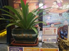 -富侨养生(威宁路店)