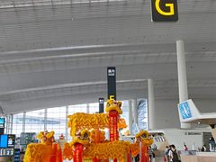 -广州白云国际机场-T2航站楼